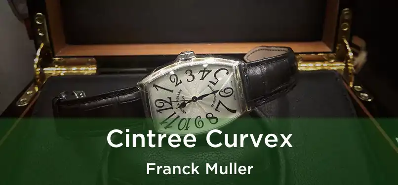  Cintree Curvex Franck Muller