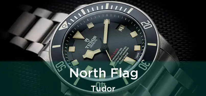  North Flag Tudor